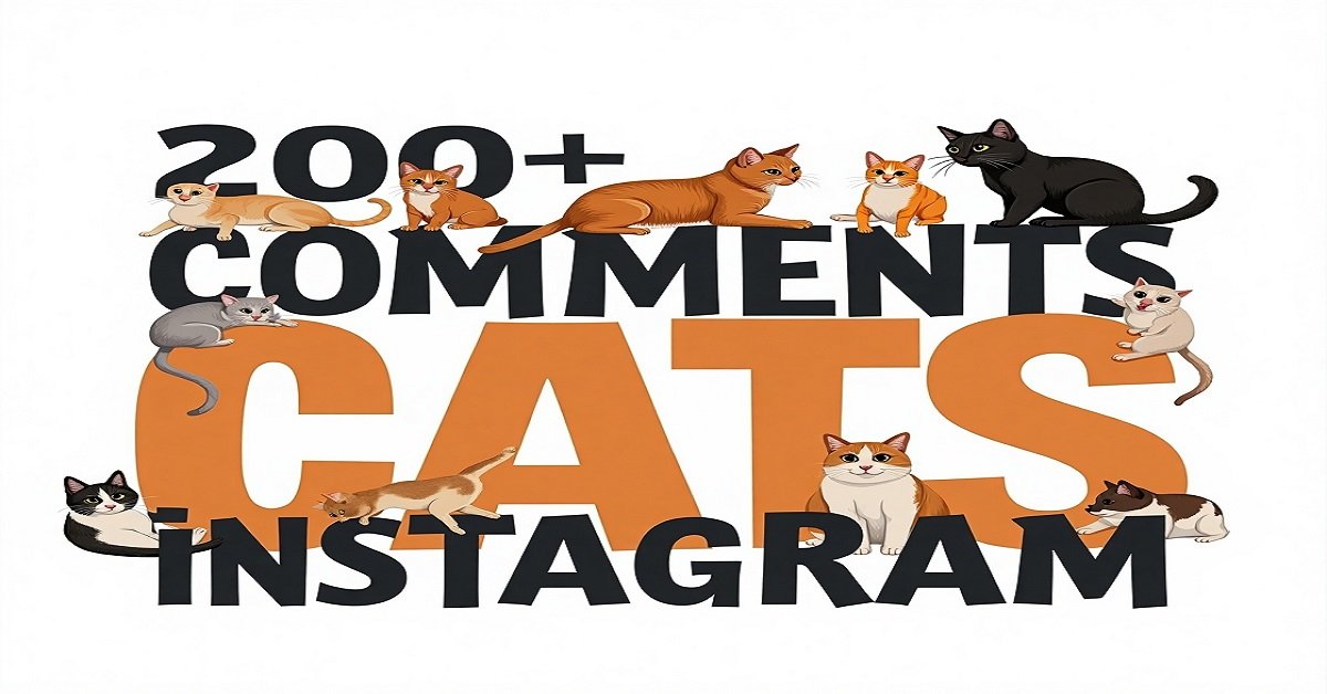 200+ Comments for Cats Pictures on Instagram